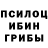 Псилоцибиновые грибы Magic Shrooms SantaCorporation Mc