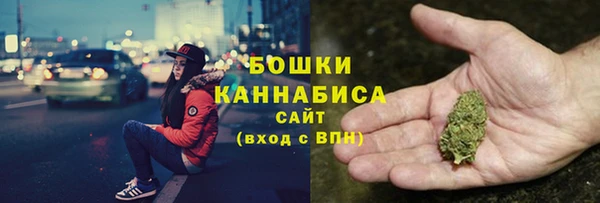 бошки Заводоуковск