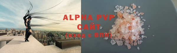 СК Семилуки