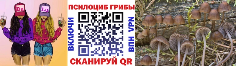 Галлюциногенные грибы Magic Shrooms  ссылка на мегу ONION  Мирный  закладки 